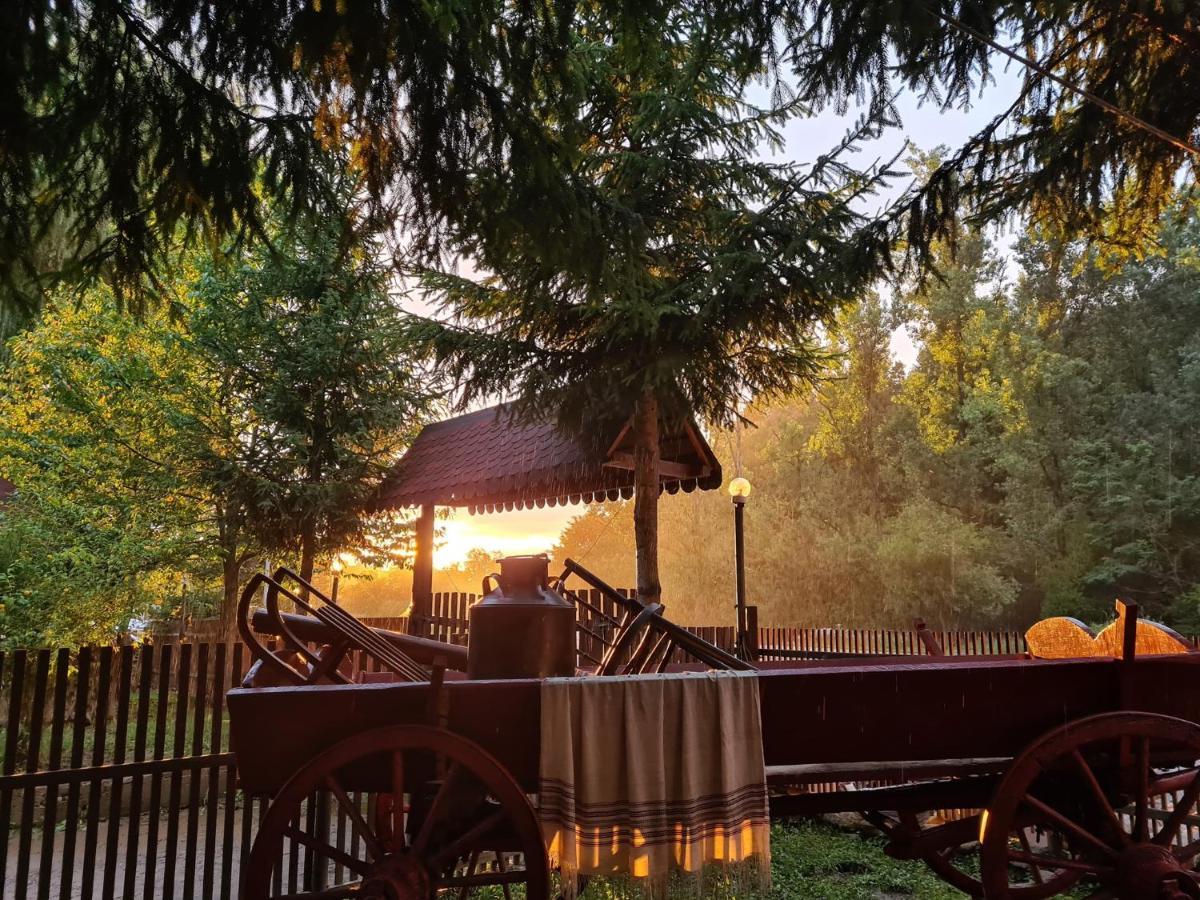La Padure Hotel Brebu Bagian luar foto