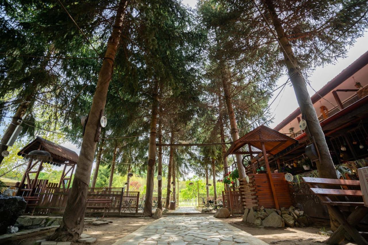 La Padure Hotel Brebu Bagian luar foto